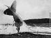 DFW C.V (LVG) FA 282 crash (0450-091)